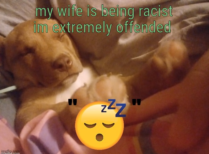 quandale | my wife is being racist im extremely offended | image tagged in quandale | made w/ Imgflip meme maker