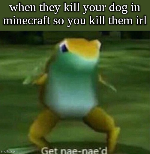 Get nae-nae'd | when they kill your dog in minecraft so you kill them irl | image tagged in get nae-nae'd | made w/ Imgflip meme maker