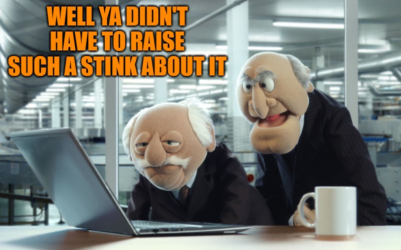 WELL YA DIDN'T HAVE TO RAISE SUCH A STINK ABOUT IT | image tagged in muppets | made w/ Imgflip meme maker