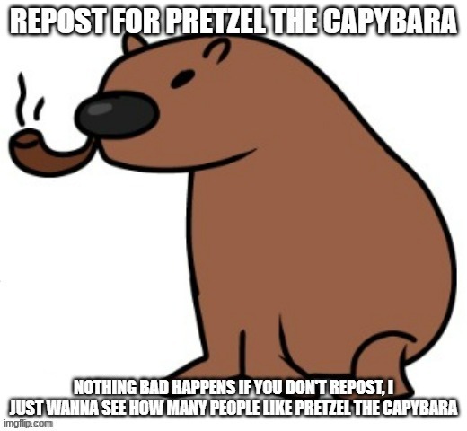 I repost for Pretzel the Capybara | image tagged in capybara | made w/ Imgflip meme maker