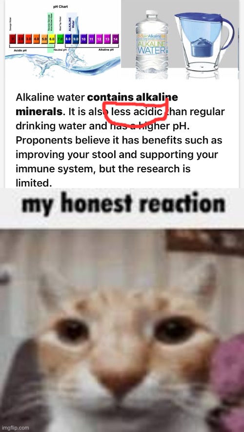 I’VE BEEN LIED TO! | image tagged in my honest reaction | made w/ Imgflip meme maker