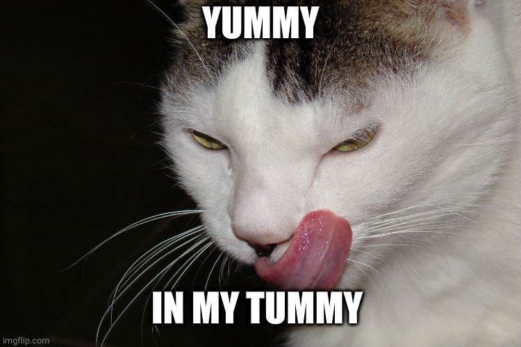 YUMMY | YUMMY IN MY TUMMY | image tagged in yummy | made w/ Imgflip meme maker