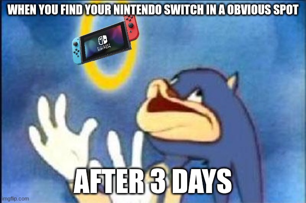 Sonic derp | WHEN YOU FIND YOUR NINTENDO SWITCH IN A OBVIOUS SPOT; AFTER 3 DAYS | image tagged in sonic derp | made w/ Imgflip meme maker