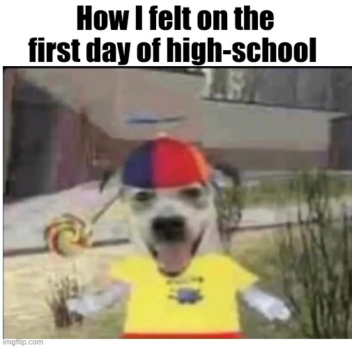 True story | How I felt on the first day of high-school | image tagged in school,memes | made w/ Imgflip meme maker