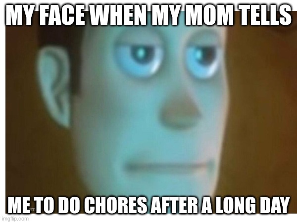 MY FACE WHEN MY MOM TELLS; ME TO DO CHORES AFTER A LONG DAY | image tagged in woody | made w/ Imgflip meme maker