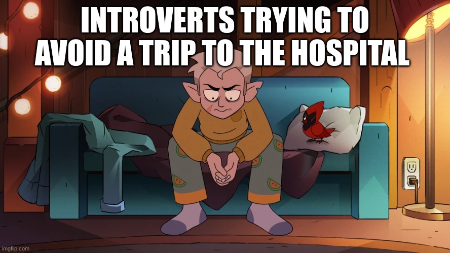 Not easy to prevent injuries | INTROVERTS TRYING TO AVOID A TRIP TO THE HOSPITAL | image tagged in the owl house | made w/ Imgflip meme maker