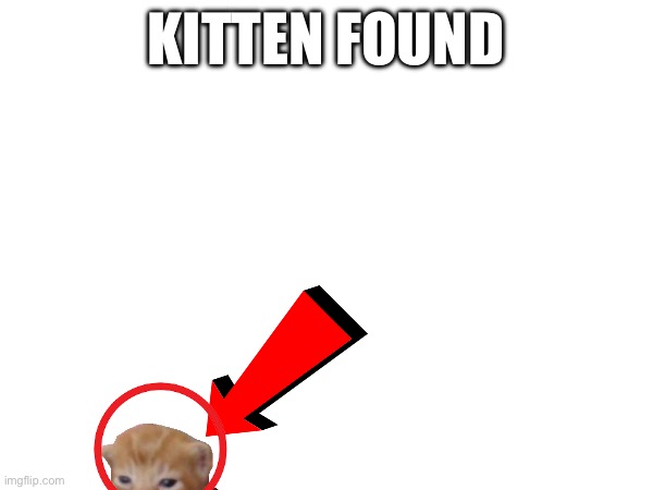 KITTEN FOUND | image tagged in funny | made w/ Imgflip meme maker