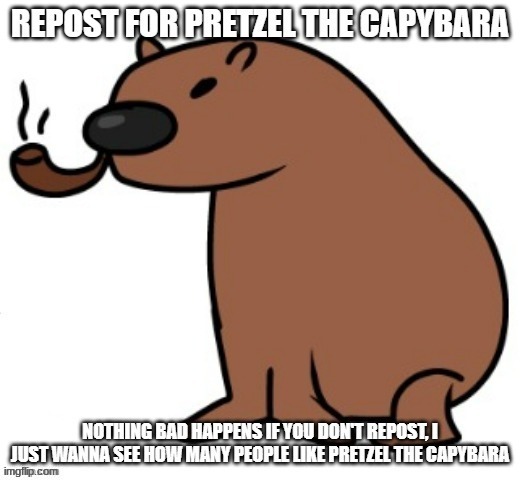 image tagged in pretzel the capybara | made w/ Imgflip meme maker