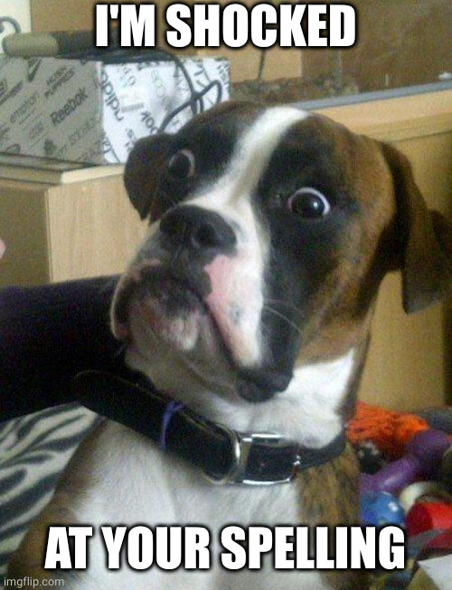 Blankie the Shocked Dog | I'M SHOCKED AT YOUR SPELLING | image tagged in blankie the shocked dog | made w/ Imgflip meme maker