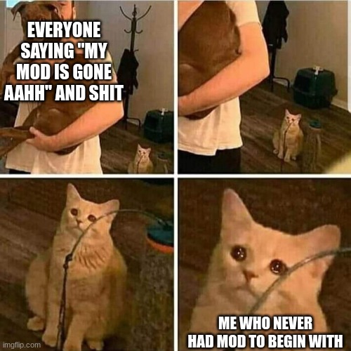 W and L | EVERYONE SAYING "MY MOD IS GONE AAHH" AND SHIT; ME WHO NEVER HAD MOD TO BEGIN WITH | image tagged in sad cat holding dog | made w/ Imgflip meme maker