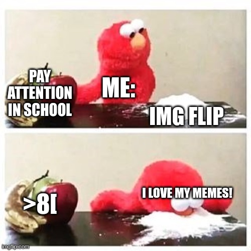 elmoo | PAY ATTENTION IN SCHOOL; ME:; IMG FLIP; >8[; I LOVE MY MEMES! | image tagged in elmo cocaine | made w/ Imgflip meme maker
