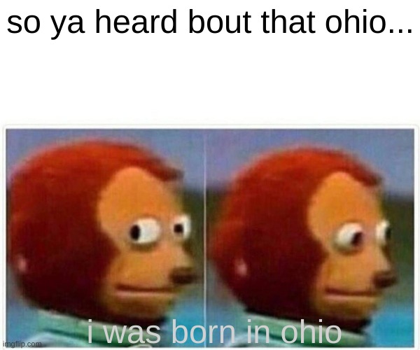 Monkey Puppet | so ya heard bout that ohio... i was born in ohio | image tagged in memes,monkey puppet | made w/ Imgflip meme maker