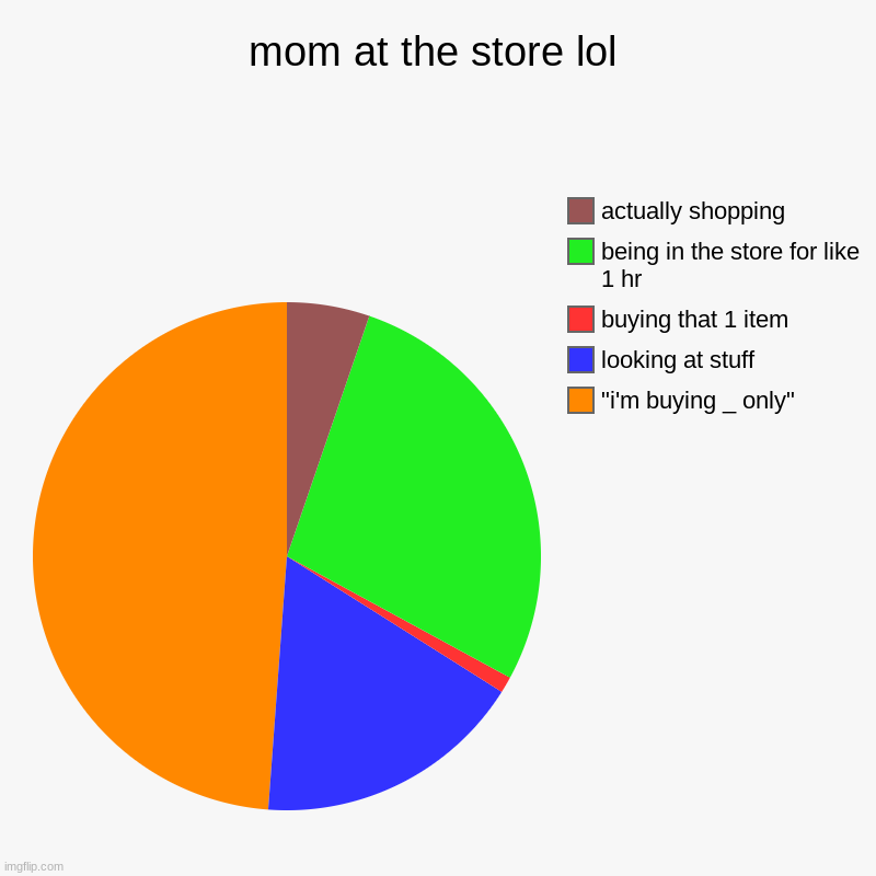 mom at the store | mom at the store lol | "i'm buying _ only", looking at stuff, buying that 1 item, being in the store for like 1 hr, actually shopping | image tagged in charts,pie charts,mom,store,stop reading the tags | made w/ Imgflip chart maker