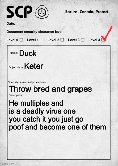 SCP document | Duck; Keter; Throw bred and grapes; He multiples and is a deadly virus one you catch it you just go poof and become one of them | image tagged in scp document | made w/ Imgflip meme maker