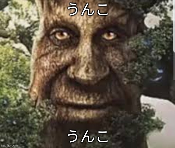 うんこ | うんこ; うんこ | image tagged in wise mystical tree | made w/ Imgflip meme maker