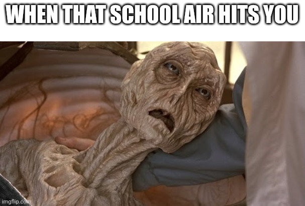 Dehydrated Alien | WHEN THAT SCHOOL AIR HITS YOU | image tagged in dehydrated alien | made w/ Imgflip meme maker