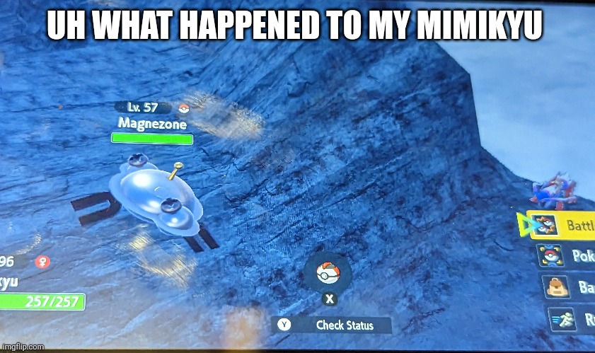 Seriously where did Mimikyu go | UH WHAT HAPPENED TO MY MIMIKYU | image tagged in where is,pokemon | made w/ Imgflip meme maker