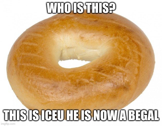 Begal | WHO IS THIS? THIS IS ICEU HE IS NOW A BEGAL | image tagged in begal | made w/ Imgflip meme maker