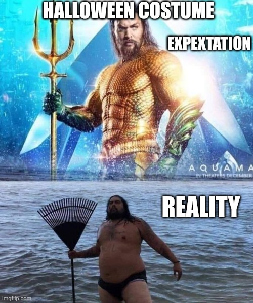 Lol | HALLOWEEN COSTUME; EXPEXTATION; REALITY | image tagged in memes,expectation vs reality,aquaman,halloween costume | made w/ Imgflip meme maker
