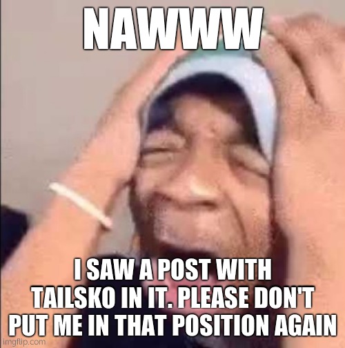 OBAMA STOP THE CAR I DON'T WANT TO BE TAILSKO AGAIN | NAWWW; I SAW A POST WITH TAILSKO IN IT. PLEASE DON'T PUT ME IN THAT POSITION AGAIN | image tagged in flightreacts crying | made w/ Imgflip meme maker