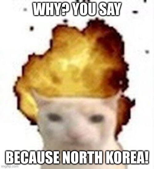 legalize nuclear bombs | WHY? YOU SAY; BECAUSE NORTH KOREA! | image tagged in legalize nuclear bombs | made w/ Imgflip meme maker