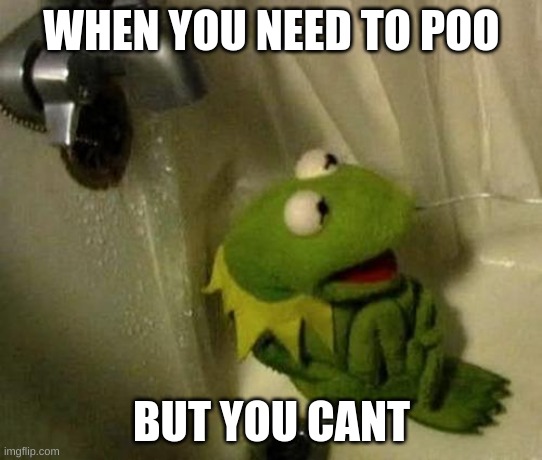 Kermit on Shower | WHEN YOU NEED TO POO; BUT YOU CANT | image tagged in kermit on shower | made w/ Imgflip meme maker