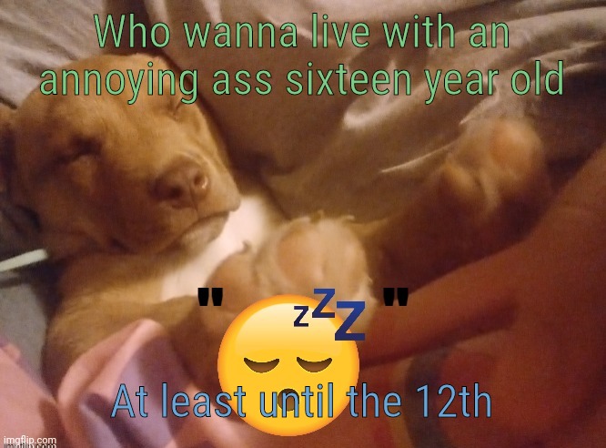 quandale | Who wanna live with an annoying ass sixteen year old; At least until the 12th | image tagged in quandale | made w/ Imgflip meme maker
