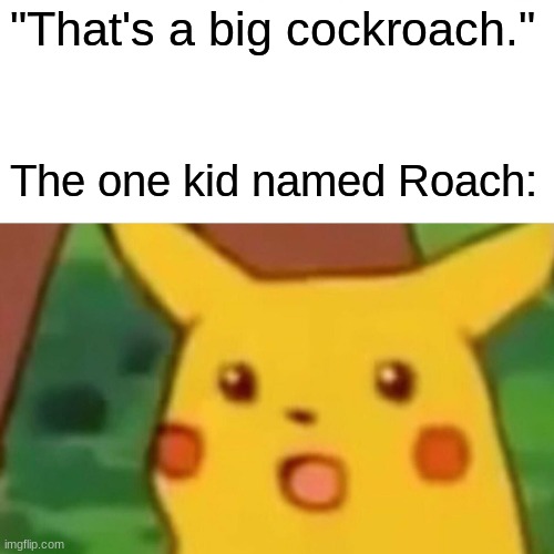 Heh heh boi | "That's a big cockroach."; The one kid named Roach: | image tagged in memes,surprised pikachu | made w/ Imgflip meme maker