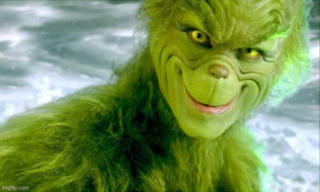 The Grinch (Jim Carrey) | image tagged in the grinch jim carrey | made w/ Imgflip meme maker