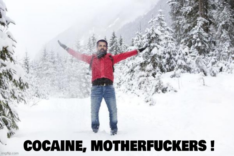 image tagged in snow,winter,storm,cocaine,addict,don jr | made w/ Imgflip meme maker
