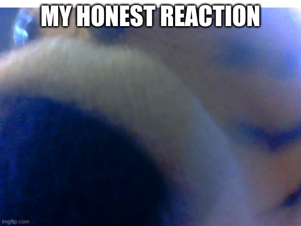 my honest reaction | MY HONEST REACTION | image tagged in stuffy,my honest reaction | made w/ Imgflip meme maker