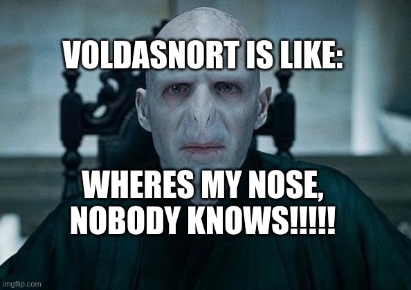 Lord Voldemort | VOLDASNORT IS LIKE:; WHERES MY NOSE, NOBODY KNOWS!!!!! | image tagged in lord voldemort | made w/ Imgflip meme maker
