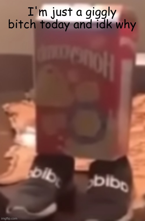 homie cereal wid da drippin | I'm just a giggly bitch today and idk why | image tagged in homie cereal wid da drippin | made w/ Imgflip meme maker