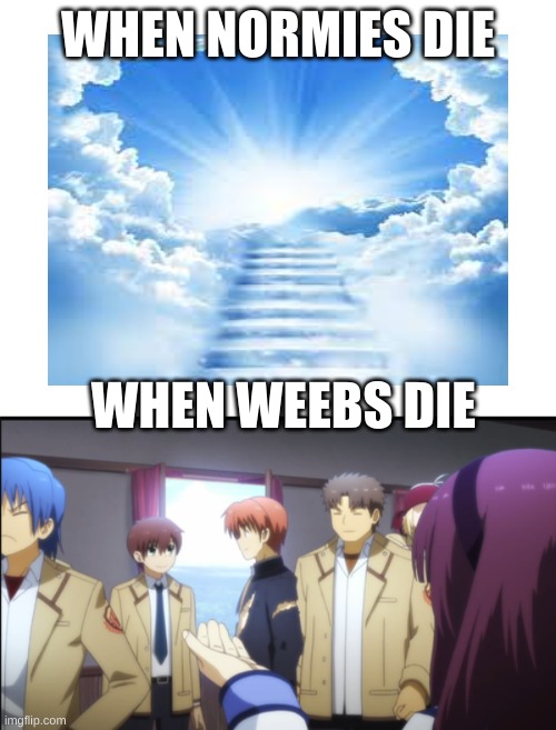 if you don't get it basically, Angel Beats! takes place in the afterworld |  WHEN NORMIES DIE; WHEN WEEBS DIE | image tagged in anime,dead,afterlife,heaven | made w/ Imgflip meme maker
