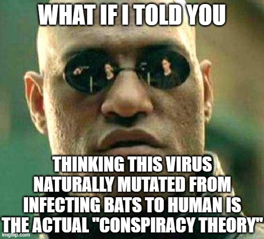 What if i told you | WHAT IF I TOLD YOU; THINKING THIS VIRUS NATURALLY MUTATED FROM INFECTING BATS TO HUMAN IS THE ACTUAL "CONSPIRACY THEORY" | image tagged in what if i told you | made w/ Imgflip meme maker