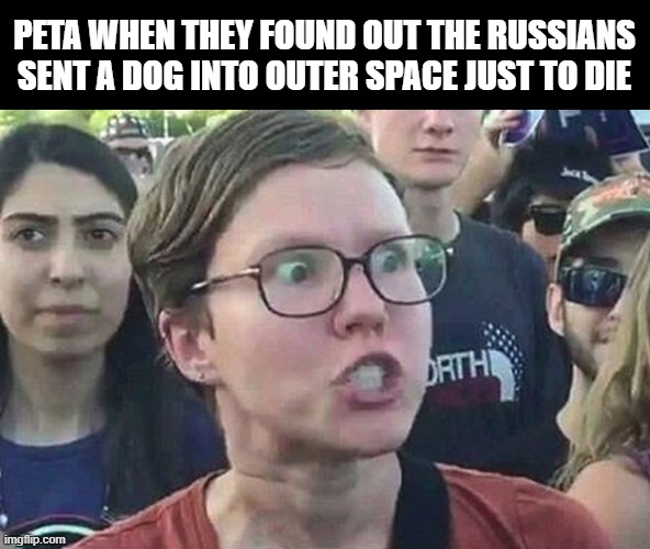 Poor Laika | PETA WHEN THEY FOUND OUT THE RUSSIANS SENT A DOG INTO OUTER SPACE JUST TO DIE | image tagged in triggered liberal | made w/ Imgflip meme maker