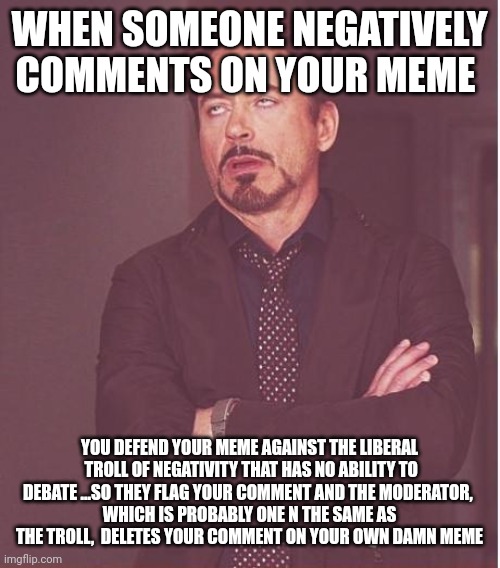 Face You Make Robert Downey Jr | WHEN SOMEONE NEGATIVELY COMMENTS ON YOUR MEME; YOU DEFEND YOUR MEME AGAINST THE LIBERAL  TROLL OF NEGATIVITY THAT HAS NO ABILITY TO DEBATE ...SO THEY FLAG YOUR COMMENT AND THE MODERATOR, 
WHICH IS PROBABLY ONE N THE SAME AS THE TROLL,  DELETES YOUR COMMENT ON YOUR OWN DAMN MEME | image tagged in memes,face you make robert downey jr | made w/ Imgflip meme maker
