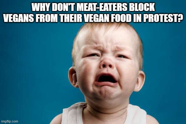 BABY CRYING | WHY DON'T MEAT-EATERS BLOCK VEGANS FROM THEIR VEGAN FOOD IN PROTEST? | image tagged in baby crying | made w/ Imgflip meme maker