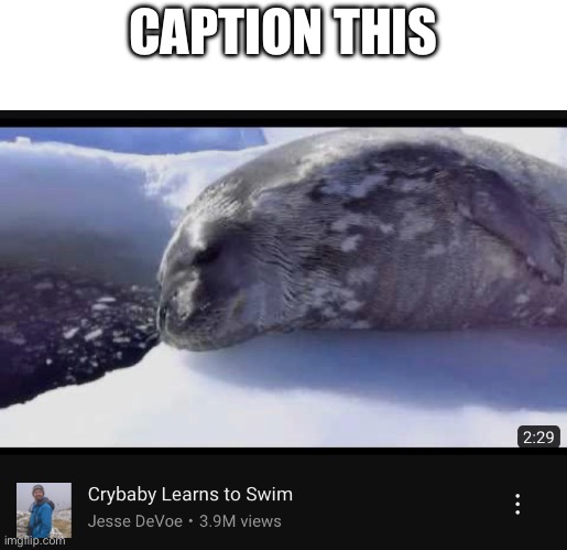 CAPTION THIS | made w/ Imgflip meme maker