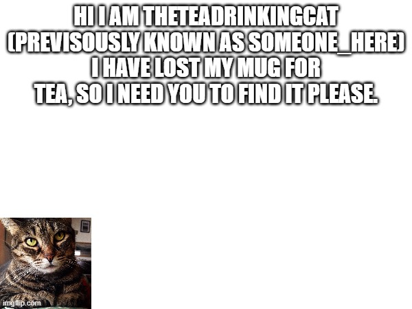 help me please | HI I AM THETEADRINKINGCAT (PREVISOUSLY KNOWN AS SOMEONE_HERE) I HAVE LOST MY MUG FOR TEA, SO I NEED YOU TO FIND IT PLEASE. | image tagged in help me | made w/ Imgflip meme maker