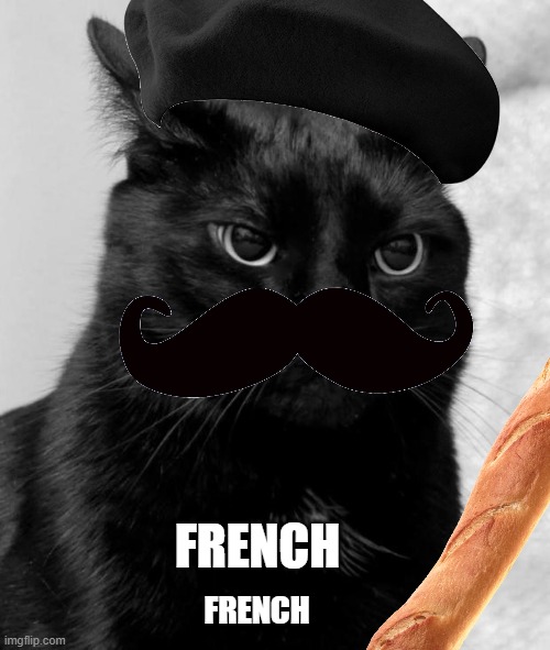 Black cat pissed | FRENCH; FRENCH | image tagged in black cat pissed | made w/ Imgflip meme maker