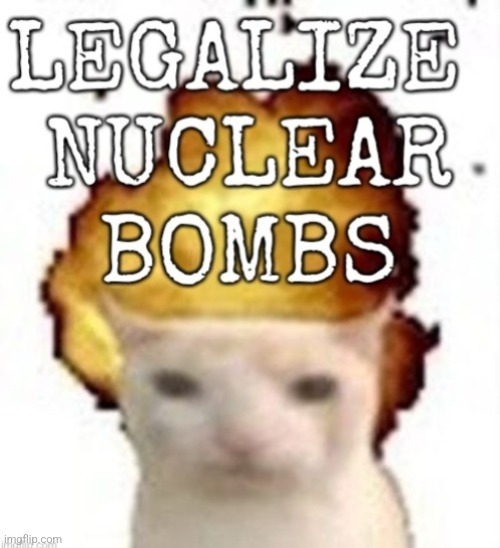 LEGALIZE NUCLEAR BOMBS | image tagged in memes,cat,nuclear bomb | made w/ Imgflip meme maker