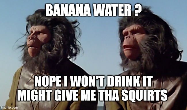Spaceballs Oh Shit | BANANA WATER ? NOPE I WON'T DRINK IT
MIGHT GIVE ME THA SQUIRTS | image tagged in spaceballs oh shit | made w/ Imgflip meme maker
