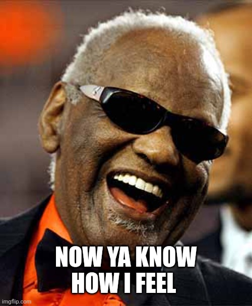 Ray Charles | NOW YA KNOW HOW I FEEL | image tagged in ray charles | made w/ Imgflip meme maker