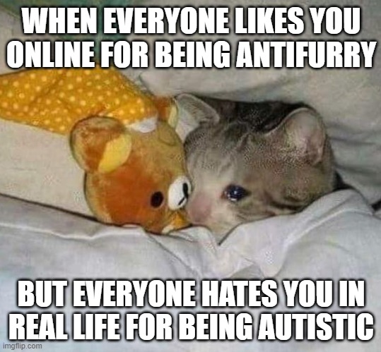 a | WHEN EVERYONE LIKES YOU ONLINE FOR BEING ANTIFURRY; BUT EVERYONE HATES YOU IN REAL LIFE FOR BEING AUTISTIC | image tagged in crying cat | made w/ Imgflip meme maker