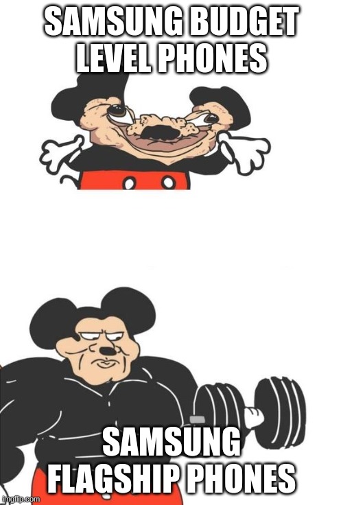 Buff Mickey Mouse | SAMSUNG BUDGET LEVEL PHONES; SAMSUNG FLAGSHIP PHONES | image tagged in buff mickey mouse,samsung,phone,memes | made w/ Imgflip meme maker
