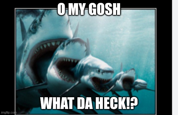 Sharks | O MY GOSH; WHAT DA HECK!? | image tagged in eat eat eat | made w/ Imgflip meme maker