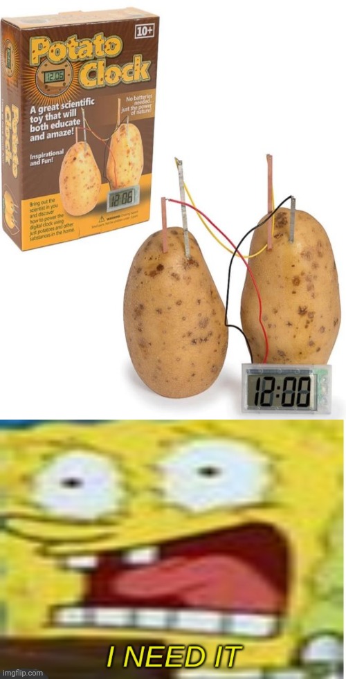 Potato Clock | image tagged in i need it,potato clock,potato,clock,memes,science | made w/ Imgflip meme maker