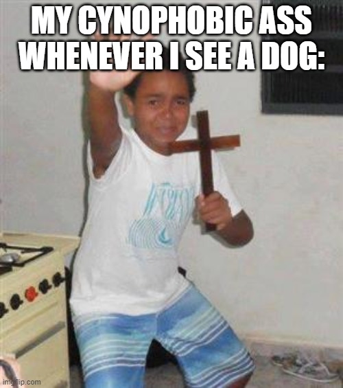 i can't handle even a small one | MY CYNOPHOBIC ASS WHENEVER I SEE A DOG: | image tagged in scared kid | made w/ Imgflip meme maker