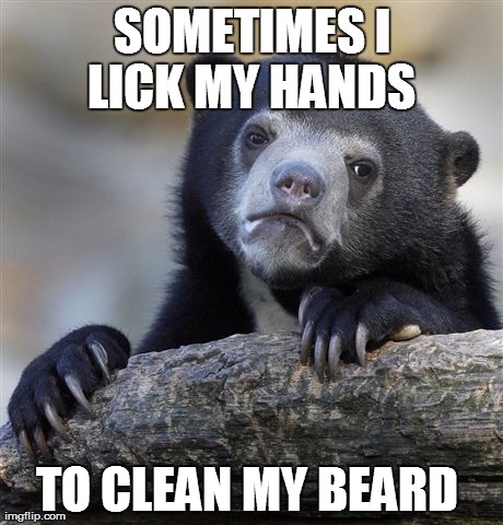 Confession Bear | SOMETIMES I LICK MY HANDS  TO CLEAN MY BEARD | image tagged in memes,confession bear | made w/ Imgflip meme maker